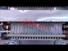 20-lane Heat-seal Dry/Moist Packing Machine