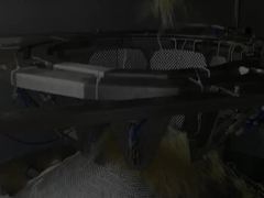 Automatic Vertical High Speed Noodle Weighing and Packaging Machine